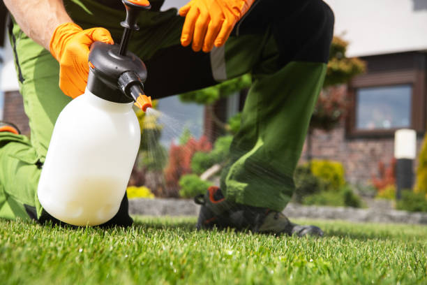 Reliable Cambridge, NE Pest Control Solutions