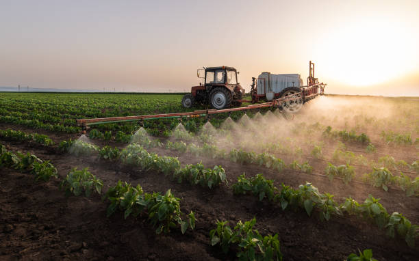 Best Mosquito Control Services  in Cambridge, NE