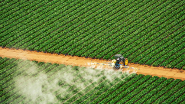 Insect Control in Cambridge, NE