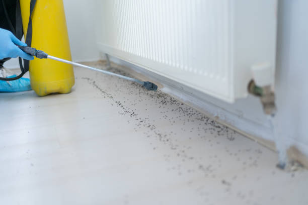 Best Pest Removal Services  in Cambridge, NE